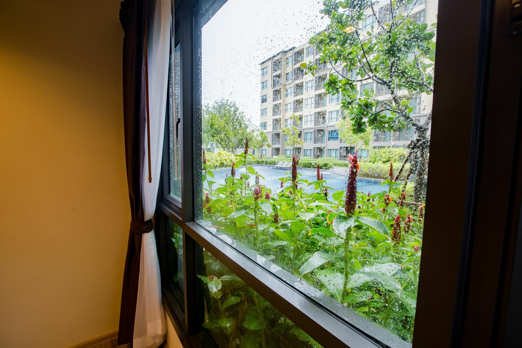 Raincondo Ampere Cha-Am Luaran gambar